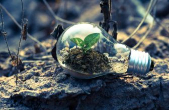¿Cuáles son algunas ideas creativas para la iluminación exterior?